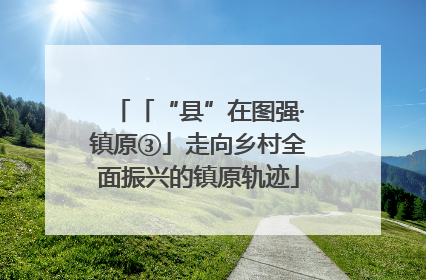 「“县”在图强·镇原③」走向乡村全面振兴的镇原轨迹