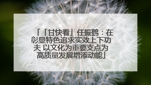 「甘快看」任振鹤：在彰显特色追求实效上下功夫 以文化为重要支点为高质量发展增添动能