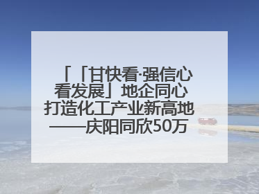 「甘快看·强信心 看发展」地企同心打造化工产业新高地——庆阳同欣50万吨/年轻烃深加工项目建设见闻