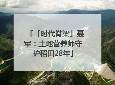 「时代脊梁」聂军：土地营养师守护稻田28年