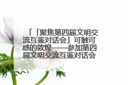 「聚焦第四届文明交流互鉴对话会」可触可感的敦煌——参加第四届文明交流互鉴对话会的外宾参观上元市集