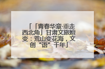 「青春华章·重走西北角」甘肃文旅嬗变：荒山变花海，文创“语”千年