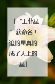 “王菲星”获命名！追的星真的成了天上的星