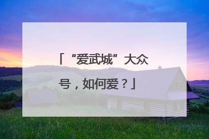 “爱武城”大众号，如何爱？