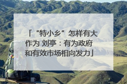 “特小乡”怎样有大作为 刘亭：有为政府和有效市场相向发力