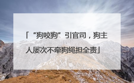 “狗咬狗”引官司，狗主人屡次不牵狗绳担全责