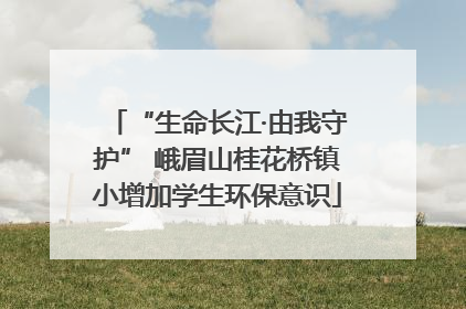 “生命长江·由我守护” 峨眉山桂花桥镇小增加学生环保意识