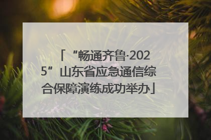 “畅通齐鲁·2025”山东省应急通信综合保障演练成功举办