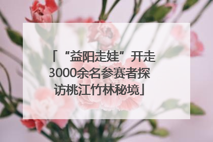 “益阳走娃”开走 3000余名参赛者探访桃江竹林秘境