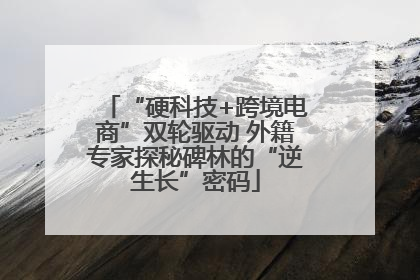 “硬科技+跨境电商”双轮驱动 外籍专家探秘碑林的“逆生长”密码