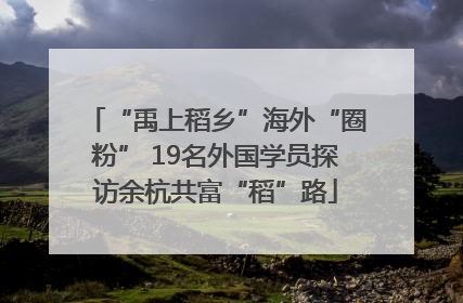“禹上稻乡”海外“圈粉” 19名外国学员探访余杭共富“稻”路