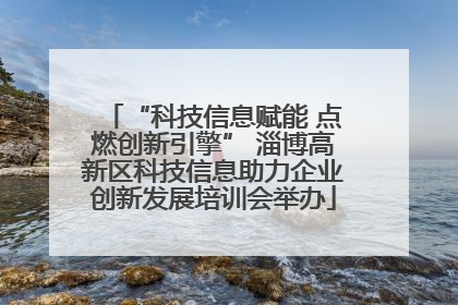 “科技信息赋能 点燃创新引擎” 淄博高新区科技信息助力企业创新发展培训会举办