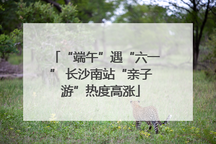 “端午”遇“六一” 长沙南站“亲子游”热度高涨