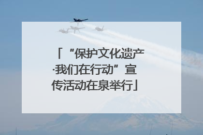 “保护文化遗产·我们在行动”宣传活动在泉举行