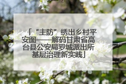 “主防”绣出乡村平安图——解码甘肃省高台县公安局罗城派出所基层治理新实践