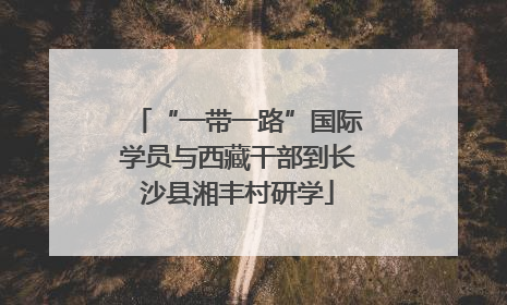 “一带一路”国际学员与西藏干部到长沙县湘丰村研学