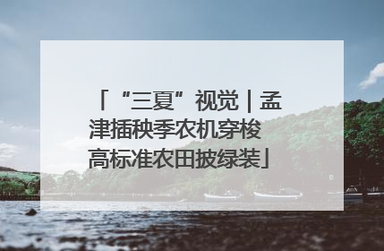 “三夏”视觉｜孟津插秧季农机穿梭 高标准农田披绿装