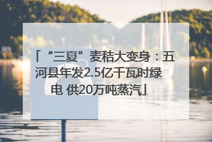 “三夏”麦秸大变身：五河县年发2.5亿千瓦时绿电 供20万吨蒸汽