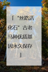 “丝路活化石”古老马种优质基因永久保存