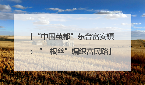 “中国茧都”东台富安镇：“一根丝”编织富民路