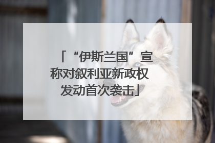 “伊斯兰国”宣称对叙利亚新政权发动首次袭击