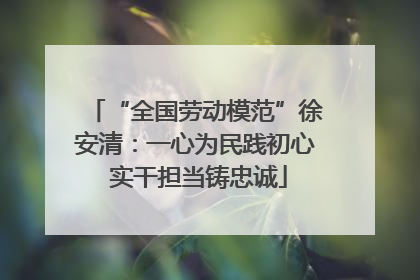 “全国劳动模范”徐安清：一心为民践初心 实干担当铸忠诚