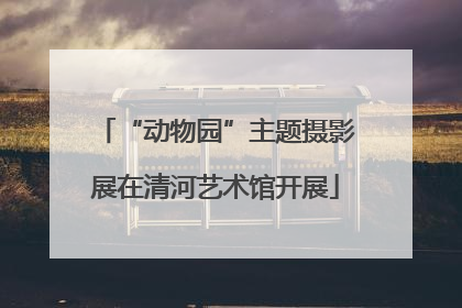 “动物园”主题摄影展在清河艺术馆开展