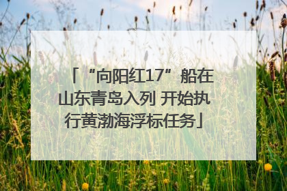 “向阳红17”船在山东青岛入列 开始执行黄渤海浮标任务