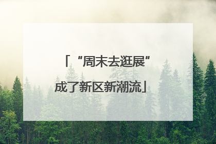 “周末去逛展”成了新区新潮流
