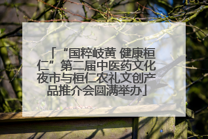 “国粹岐黄 健康桓仁”第二届中医药文化夜市与桓仁农礼文创产品推介会圆满举办