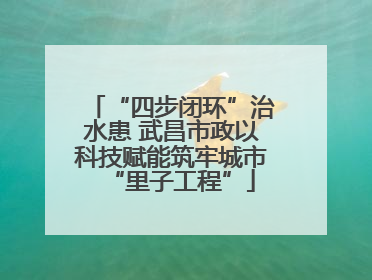 “四步闭环”治水患 武昌市政以科技赋能筑牢城市“里子工程”