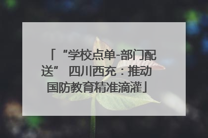 “学校点单-部门配送” 四川西充：推动国防教育精准滴灌
