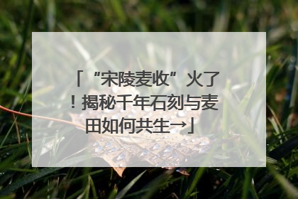 “宋陵麦收”火了！揭秘千年石刻与麦田如何共生→