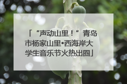 “声动山里！”青岛市杨家山里•西海岸大学生音乐节火热出圈
