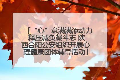 “心”意满满添动力 释压减负凝斗志 陕西合阳公安组织开展心理健康团体辅导活动