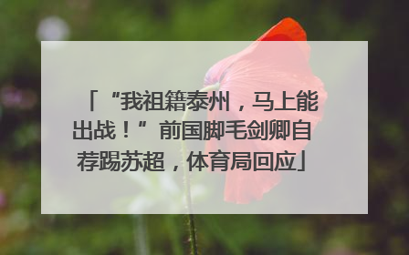 “我祖籍泰州，马上能出战！”前国脚毛剑卿自荐踢苏超，体育局回应