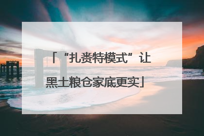 “扎赉特模式”让黑土粮仓家底更实