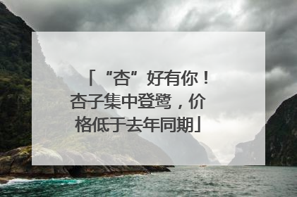 “杏”好有你！杏子集中登鹭，价格低于去年同期
