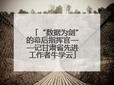 “数据为剑”的幕后指挥官——记甘肃省先进工作者牛学云