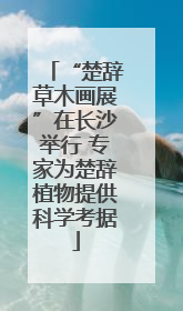 “楚辞草木画展”在长沙举行 专家为楚辞植物提供科学考据