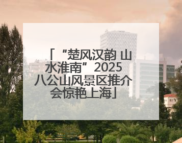 “楚风汉韵 山水淮南”2025八公山风景区推介会惊艳上海