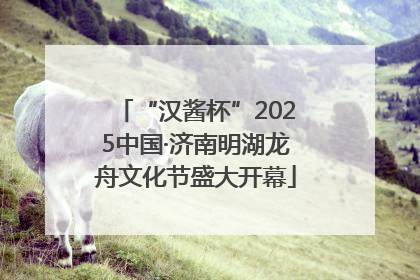 “汉酱杯”2025中国·济南明湖龙舟文化节盛大开幕