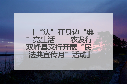 “法”在身边“典”亮生活——农发行双峰县支行开展“民法典宣传月”活动