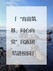 “育苗筑基、同心向党”民族团结进校园