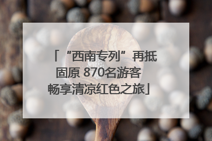 “西南专列”再抵固原 870名游客畅享清凉红色之旅