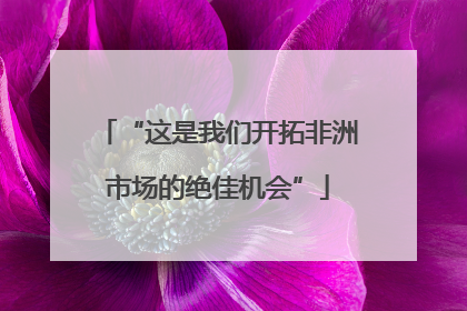 “这是我们开拓非洲市场的绝佳机会”