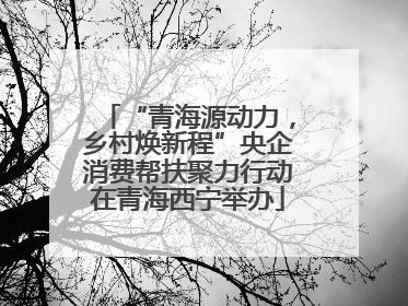 “青海源动力，乡村焕新程”央企消费帮扶聚力行动在青海西宁举办