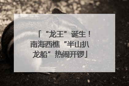 “龙王”诞生！南海西樵“半山扒龙船”热闹开锣