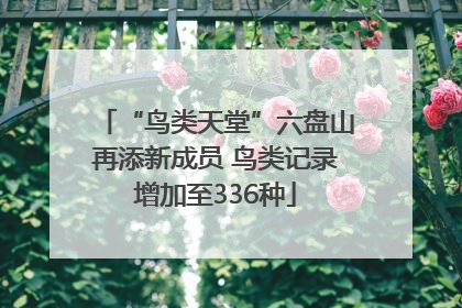 “鸟类天堂”六盘山再添新成员 鸟类记录增加至336种