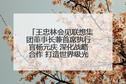 王忠林会见联想集团董事长兼首席执行官杨元庆 深化战略合作 打造世界级光电子信息产业集群